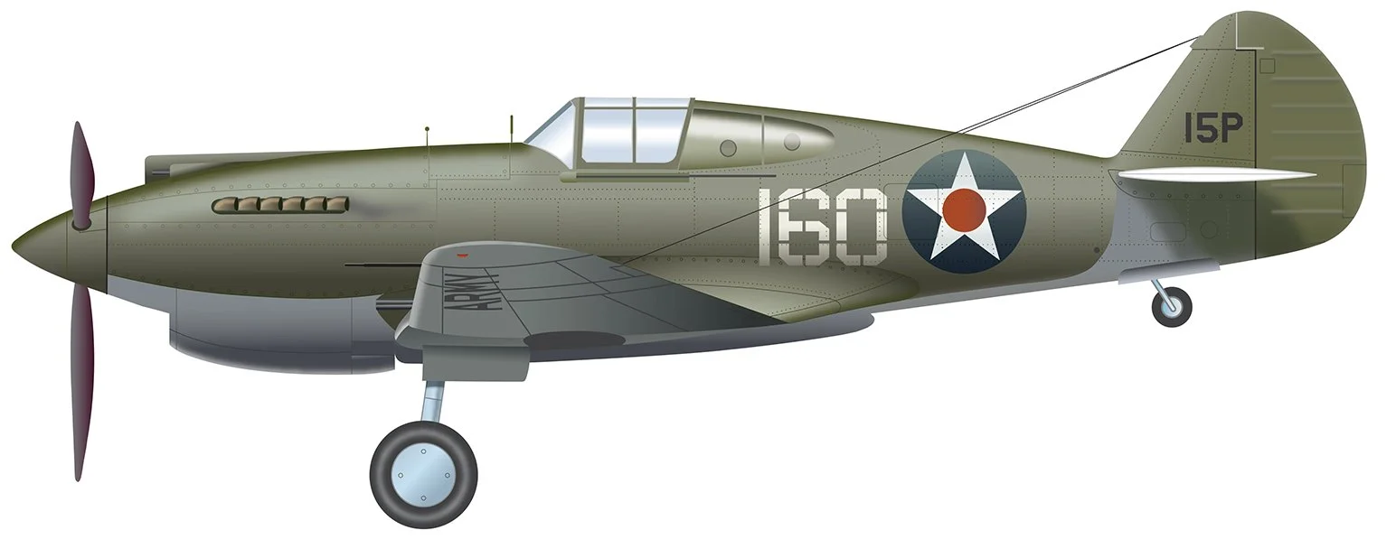 P-40 Digital Profile