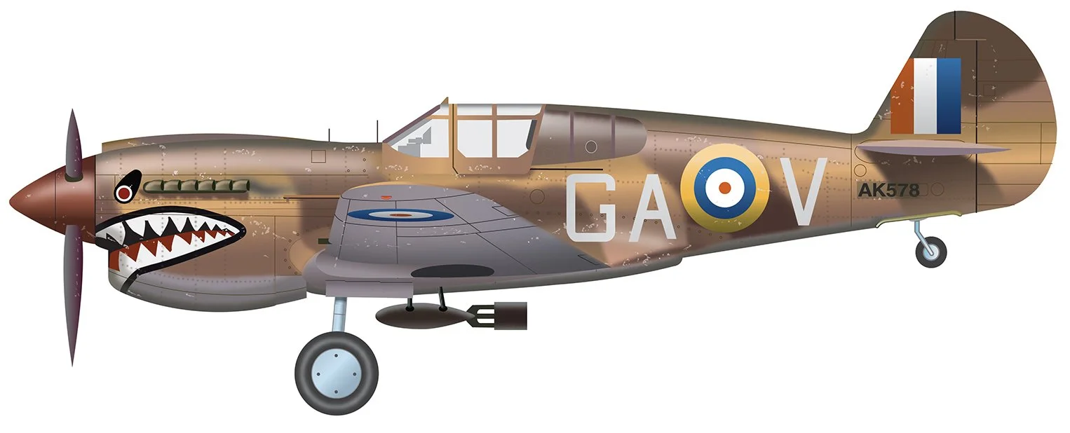 P-40 Kittyhawk Digital Profile
