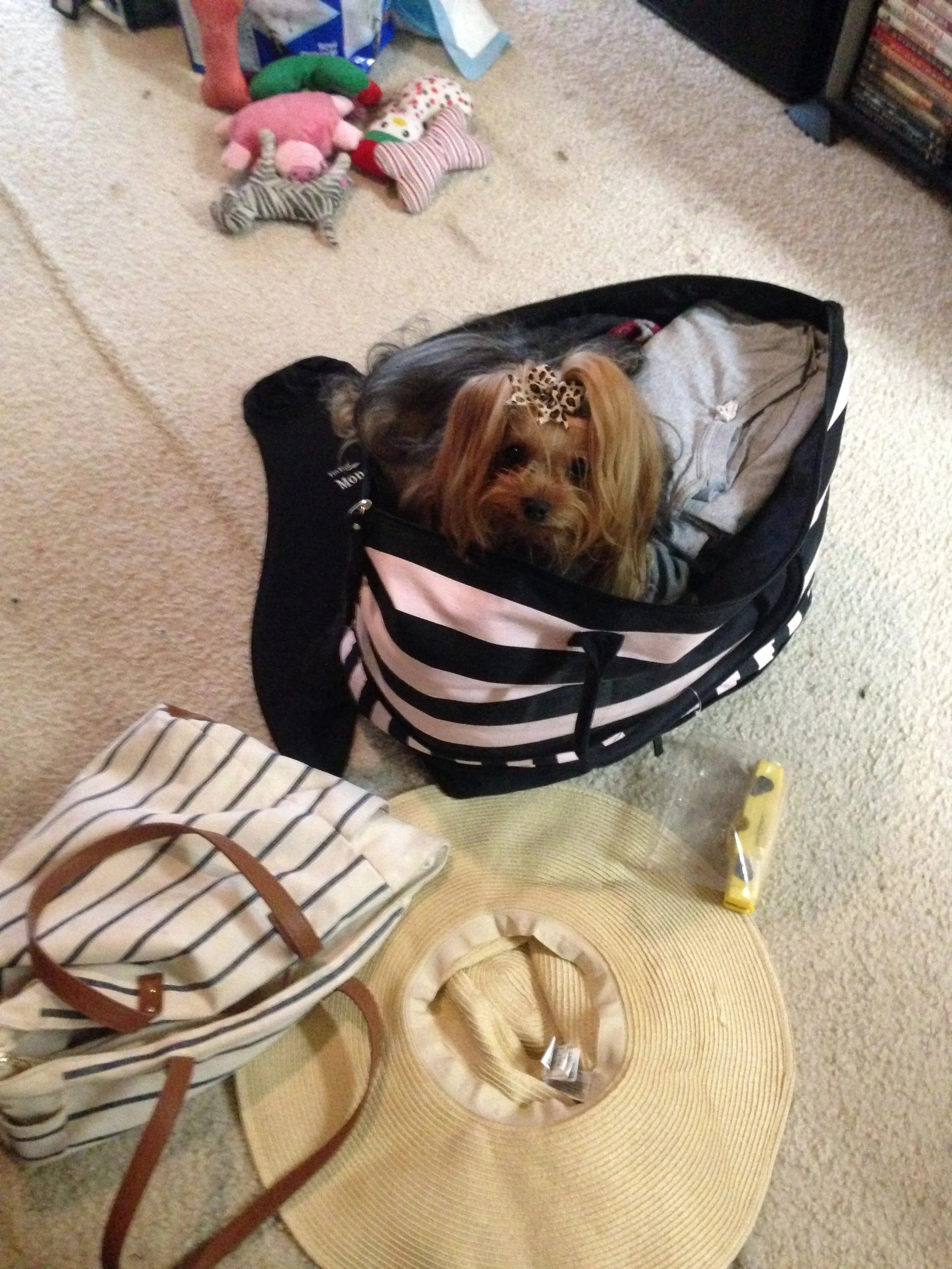 Packing