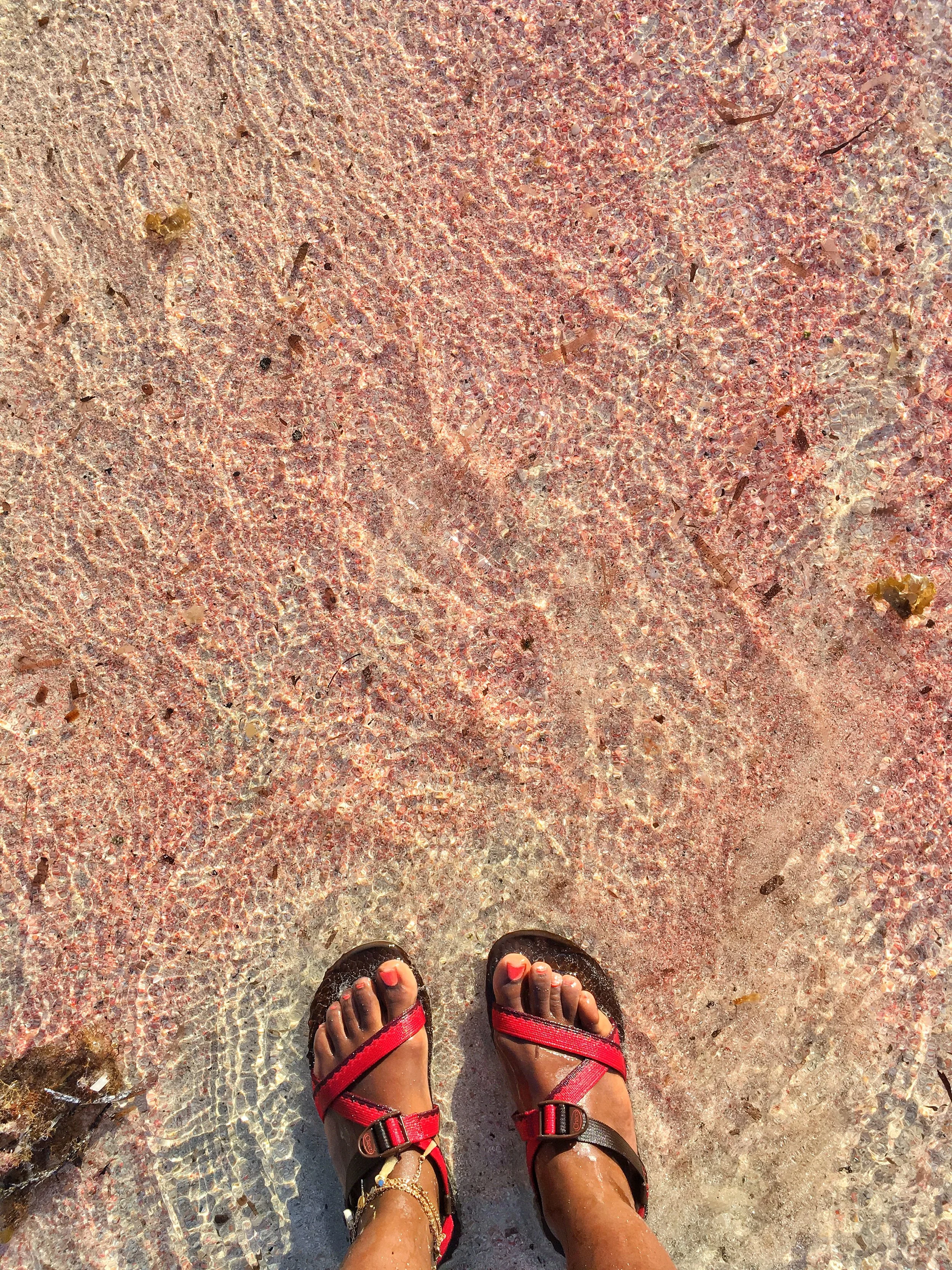  Pink sands from crushed seashells 