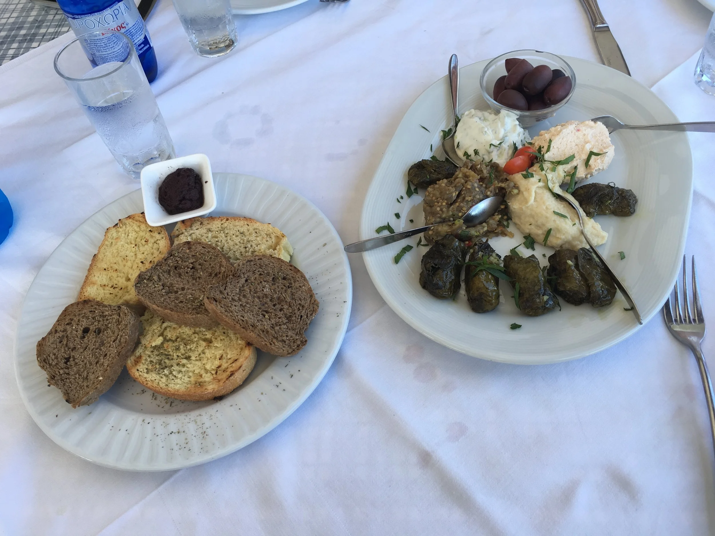  Greek spreads and grape leaves 