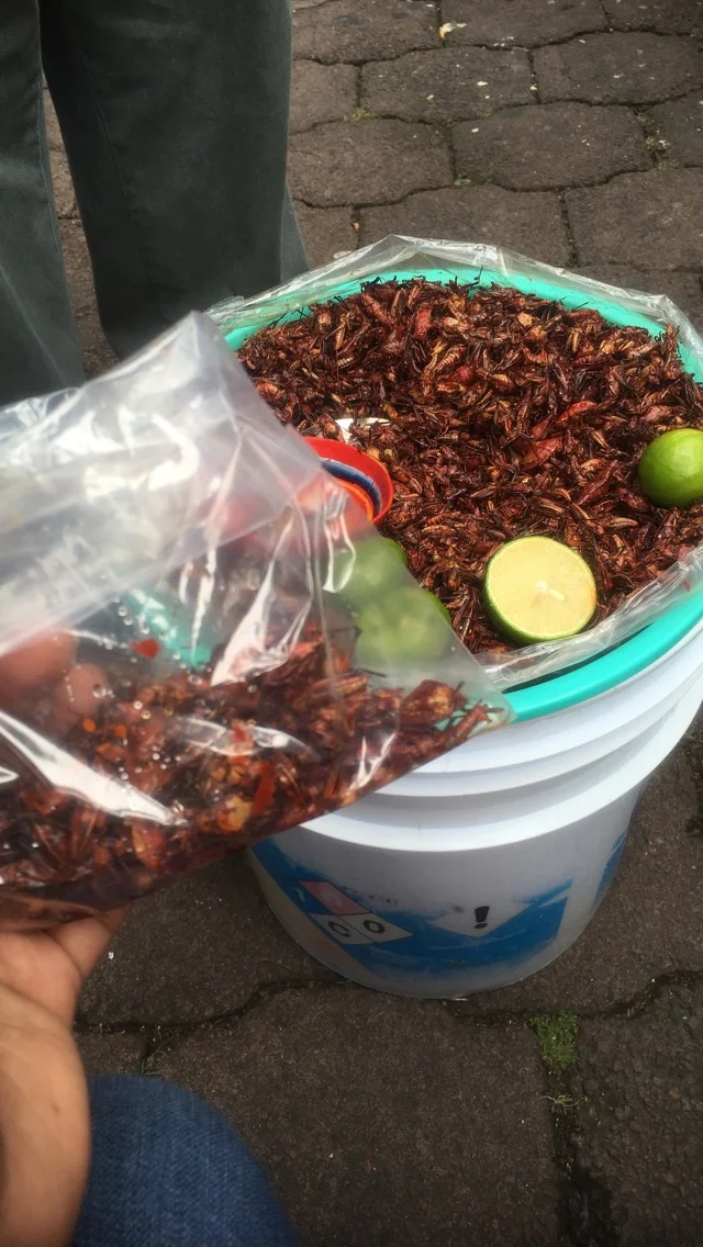  Chapulines. Spicy grasshoppers 
