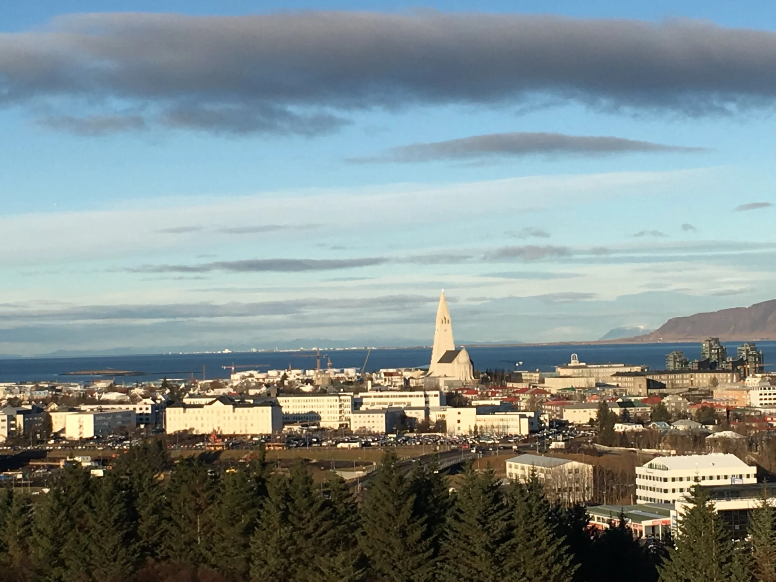  View from Perlan rooftop 