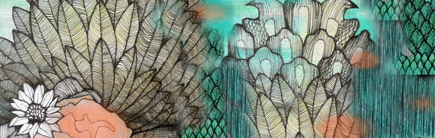 WildHairVentures-Banner.jpg