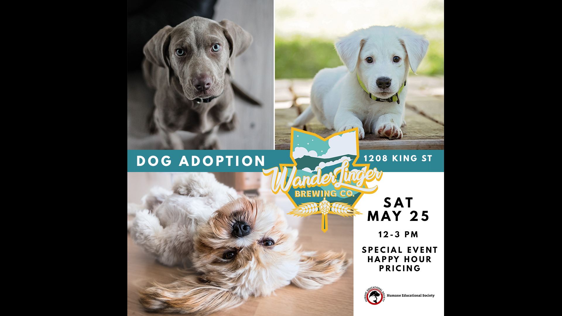 FB Event - Dog Adoption.png
