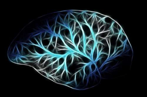 neurons.png