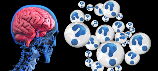 brain with questions.png