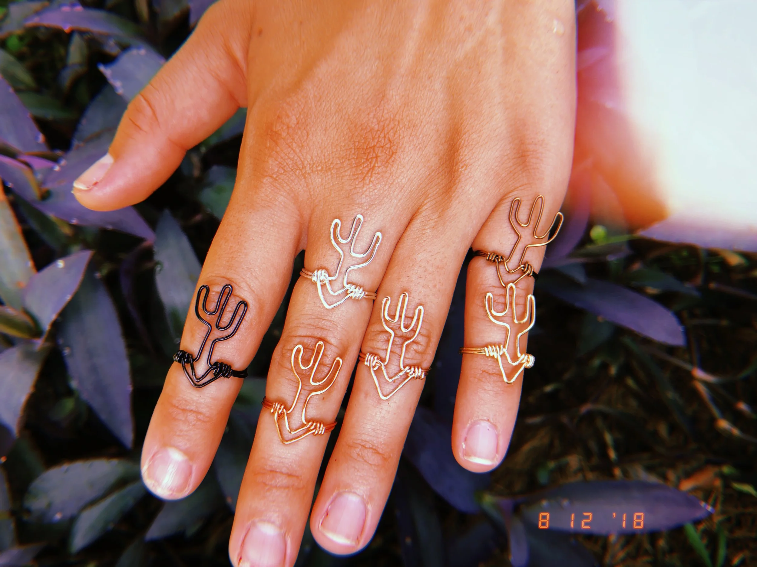 2018-08-12 10:49:38.777.JPG