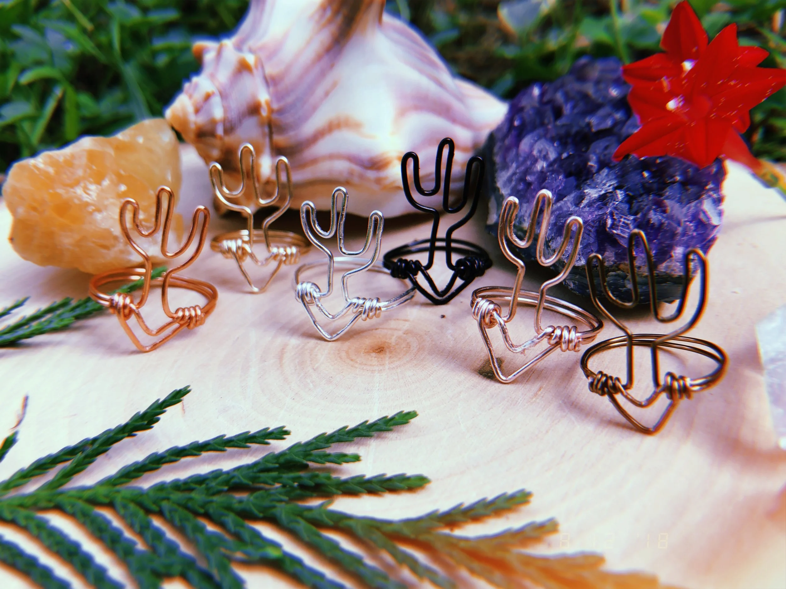 2018-08-12 10:52:07.042.JPG