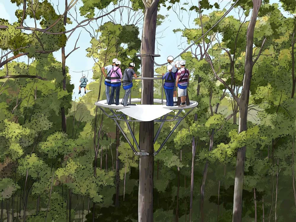 TREETOP-TOUR.jpg
