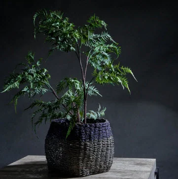 Abigail Ahern - Ostrich Fern