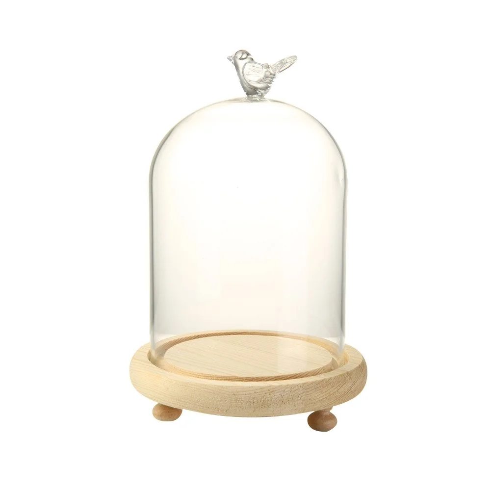 Amazon - Transparent Glass Display Dome Cloche