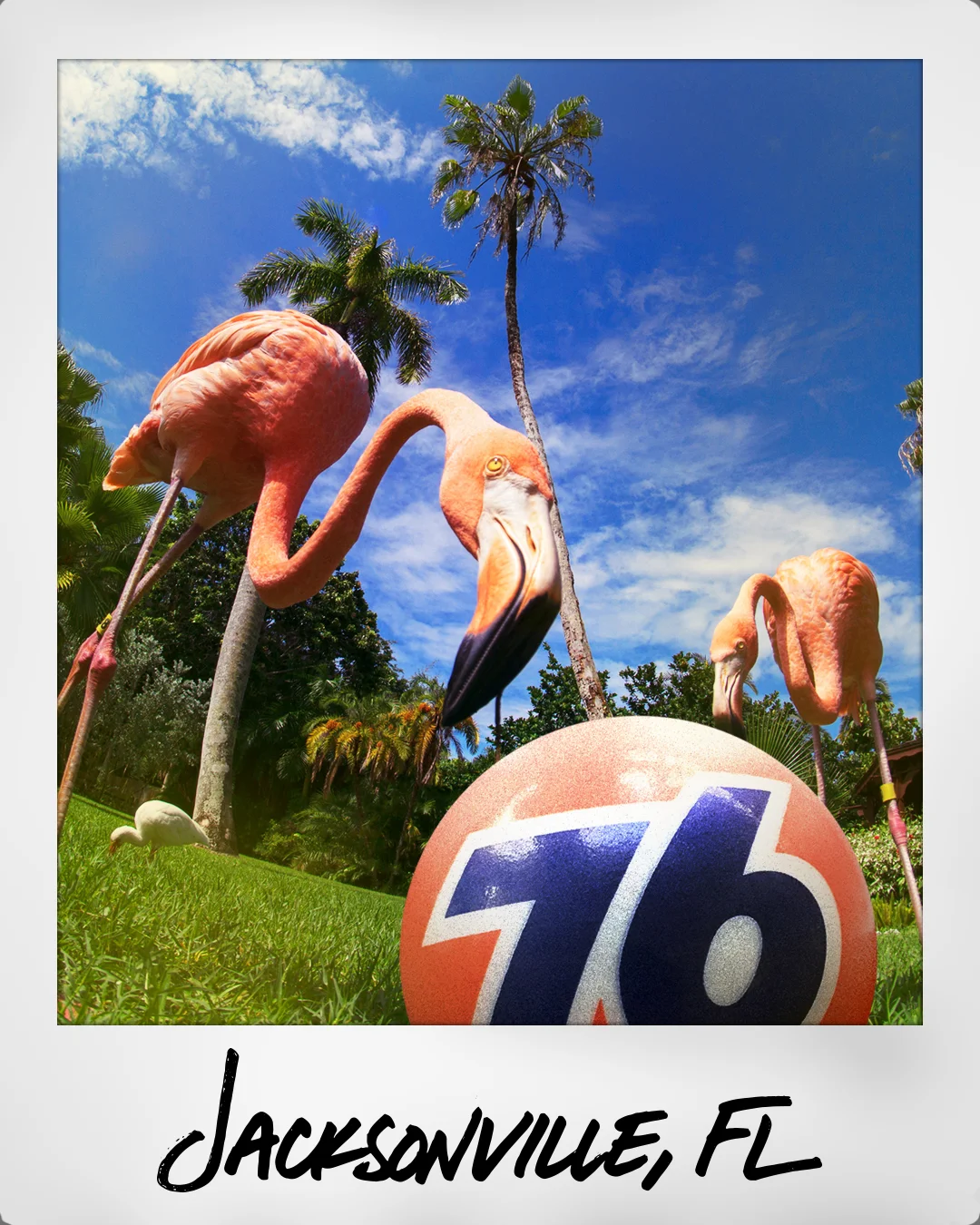 0124-JACKSONVILLEFL-1.jpg