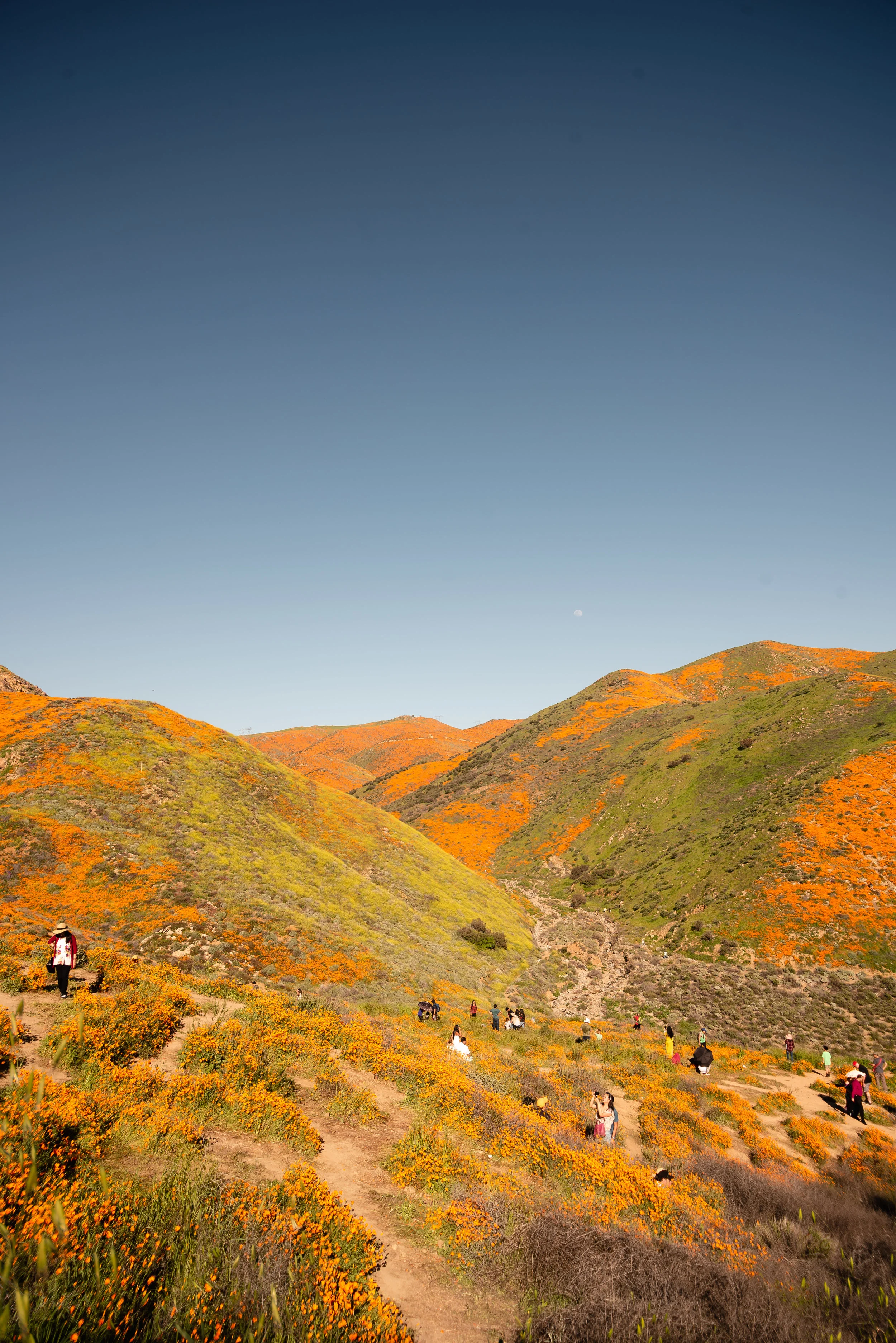 Walker Canyon, Lake Elsinore Please stay on marked trails!