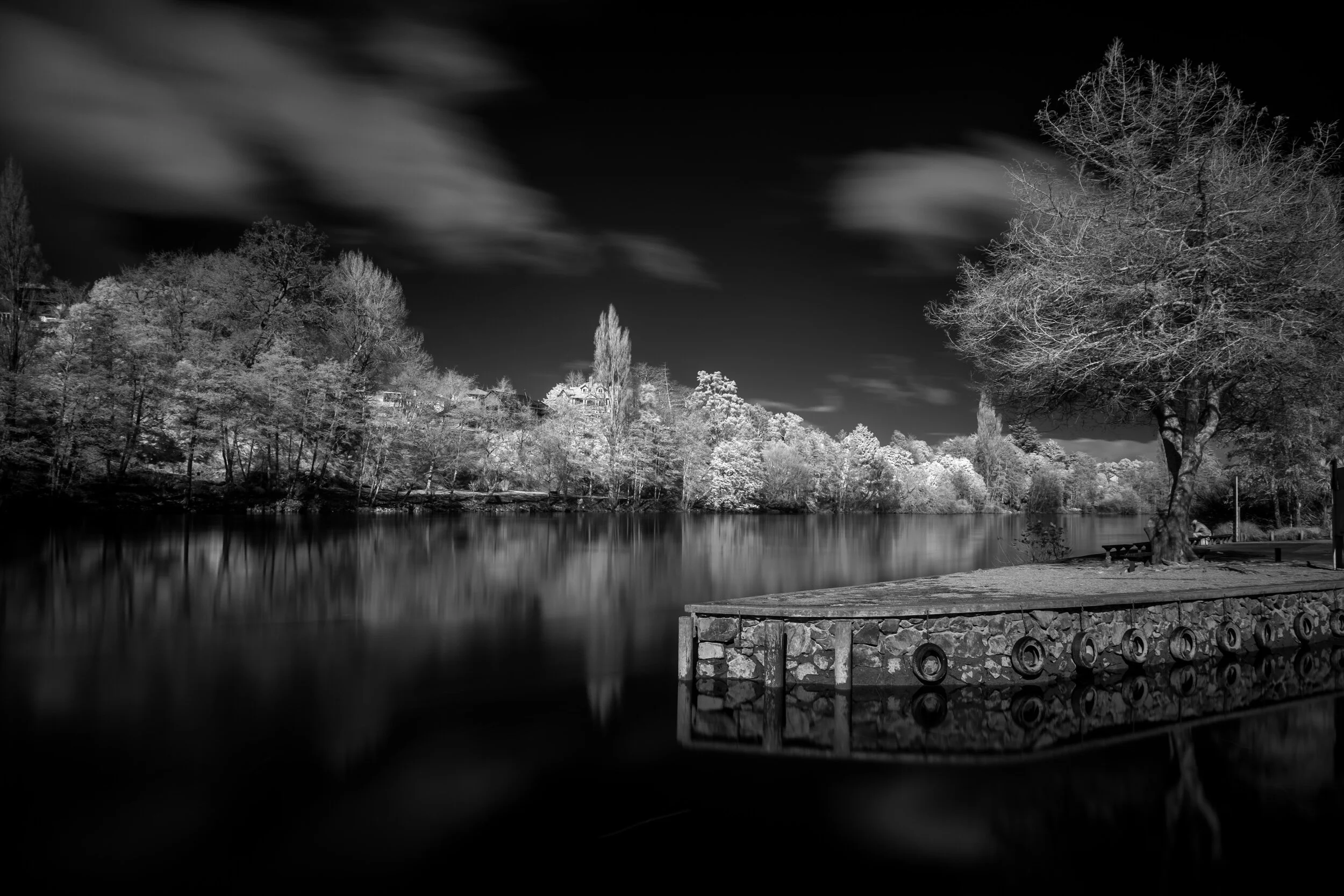 Brief History of Infrared Film Photography — Focal Collective