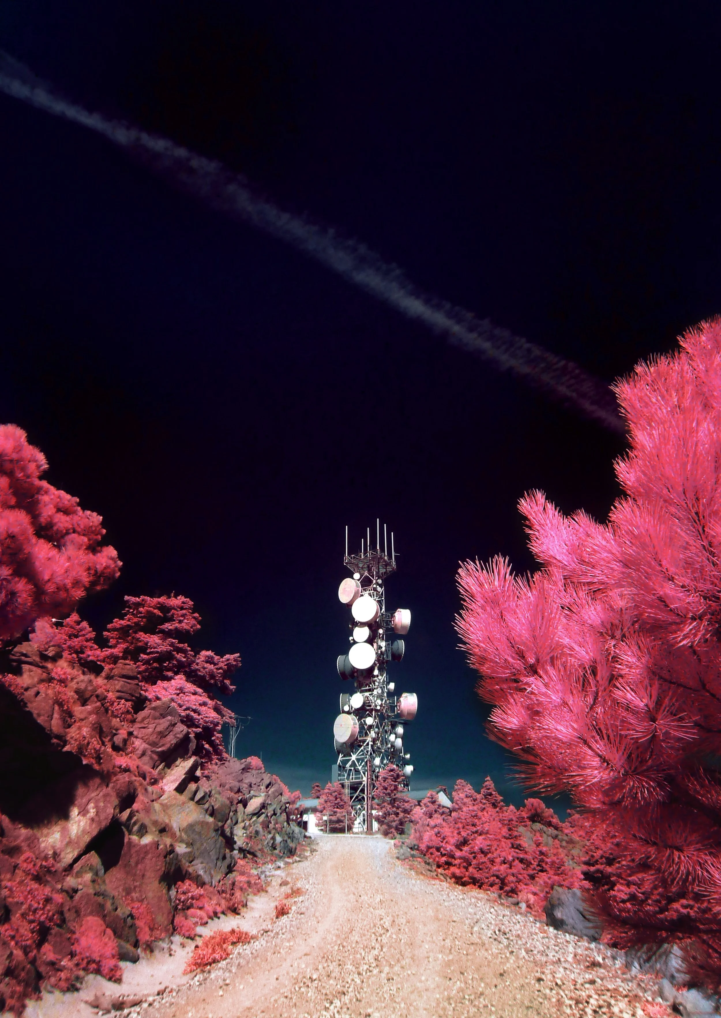 Shooting Analog Infrared Images