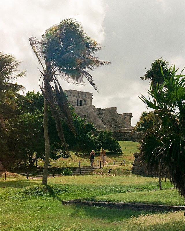 Check out Part 1 and 2 of our Yucatan Adventure. @Mikelindle shot with a Nikon f100 on Kodak Gold / Ultramax 400. Link in Bio!
&mdash;&mdash;&mdash;
Photographer: @mikelindle
Use #focalcollective to be featured! 🎞
&mdash;&mdash;&mdash;
For more Anal