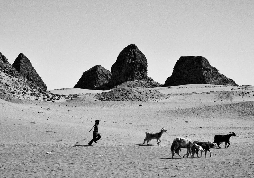 A boy herding goats in front of the Nuri Pyramids. Ilford Delta 100