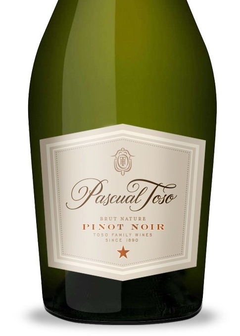 PASCUAL TOSO PINOT.jpg