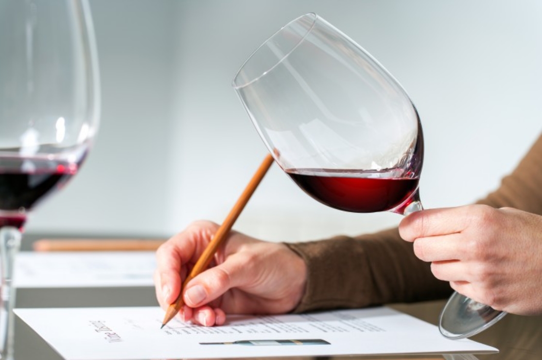 cursos de vinos.jpg