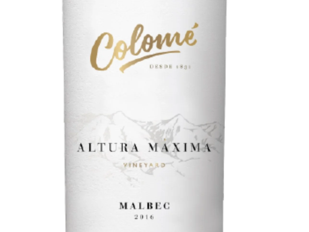 Grupo Colomé presentó sus nuevas añadas