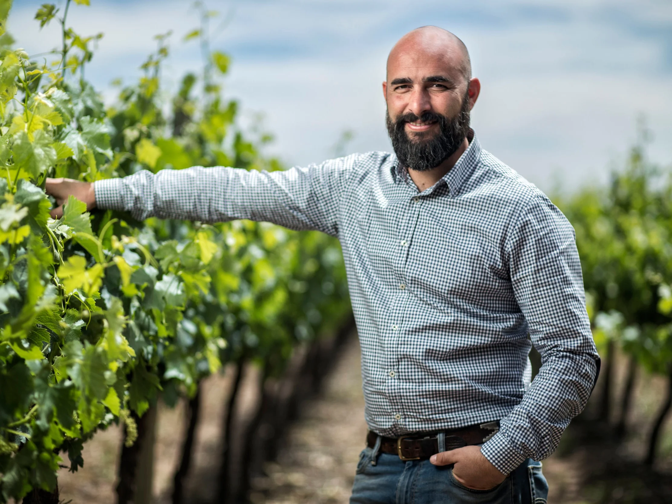 La cosecha excepcional de Trivento