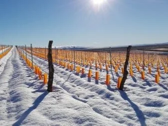 Nace Otronia, la bodega más extrema de la Patagonia Argentina