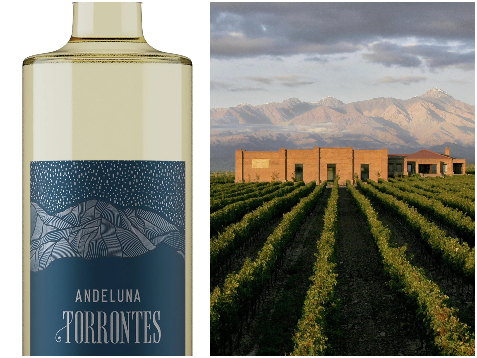 Los Vinos de Montaña de Andeluna, su nueva identidad