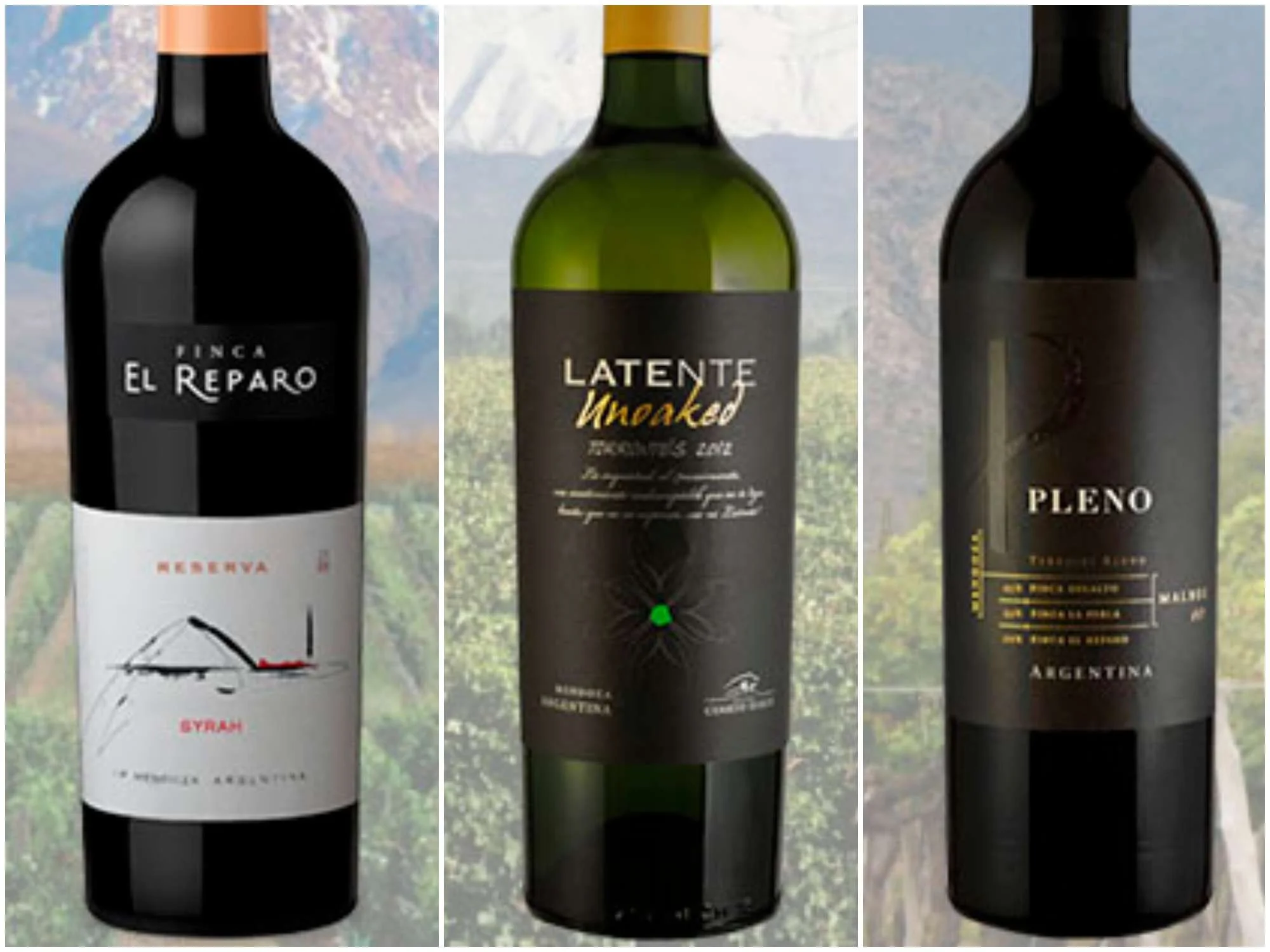 Cuarto Surco relanza sus líneas de vino con nueva imagen