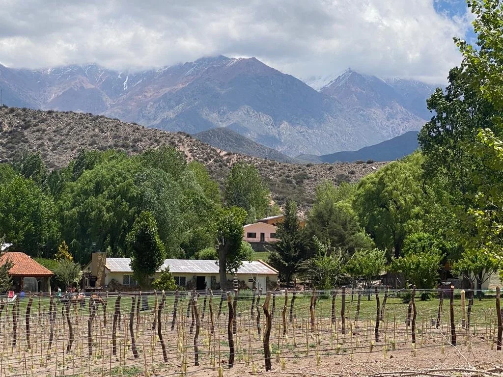 Huentala inaugura viñedos de altura en Potrerillos