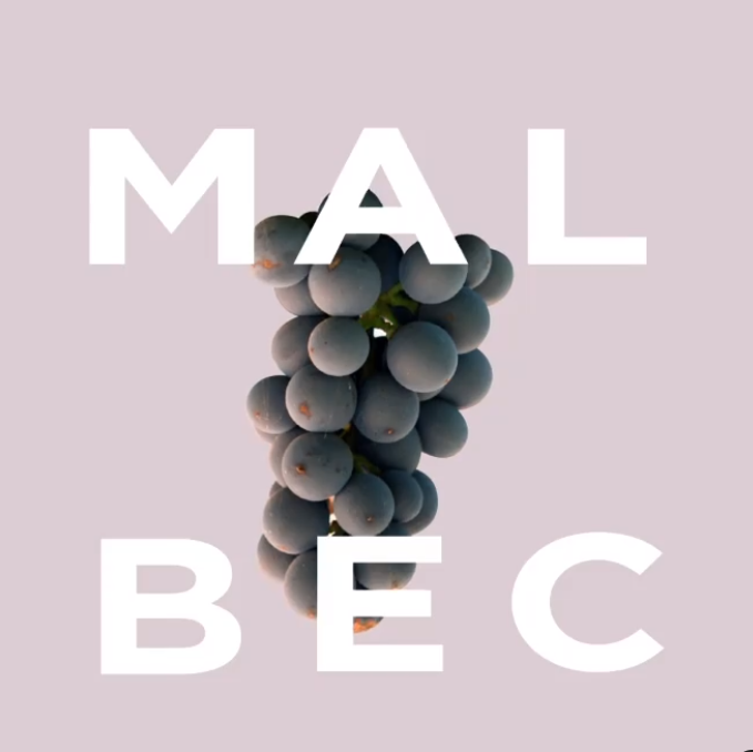 Llega la Semana del Malbec: 7 estilos para disfrutar de uno diferente cada día