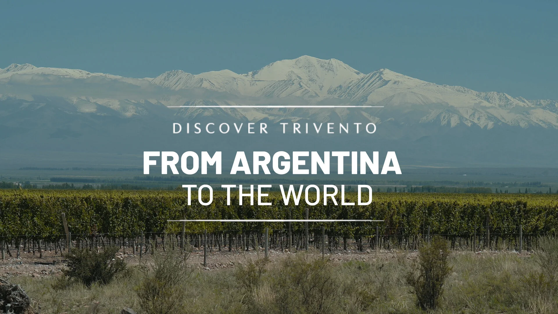 Trivento presenta una serie en IGTV sobre Malbec