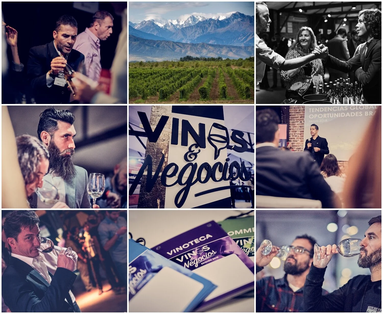 Expo Vinos & Negocios llega a Mendoza