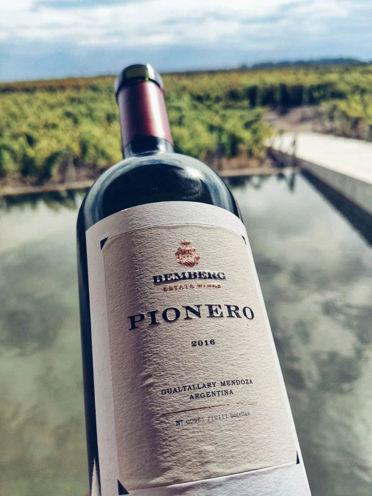 Originalmente creados sólo para su consumo familiar, los exclusivos vinos de la familia Bemberg ya se consiguen en la Argentina