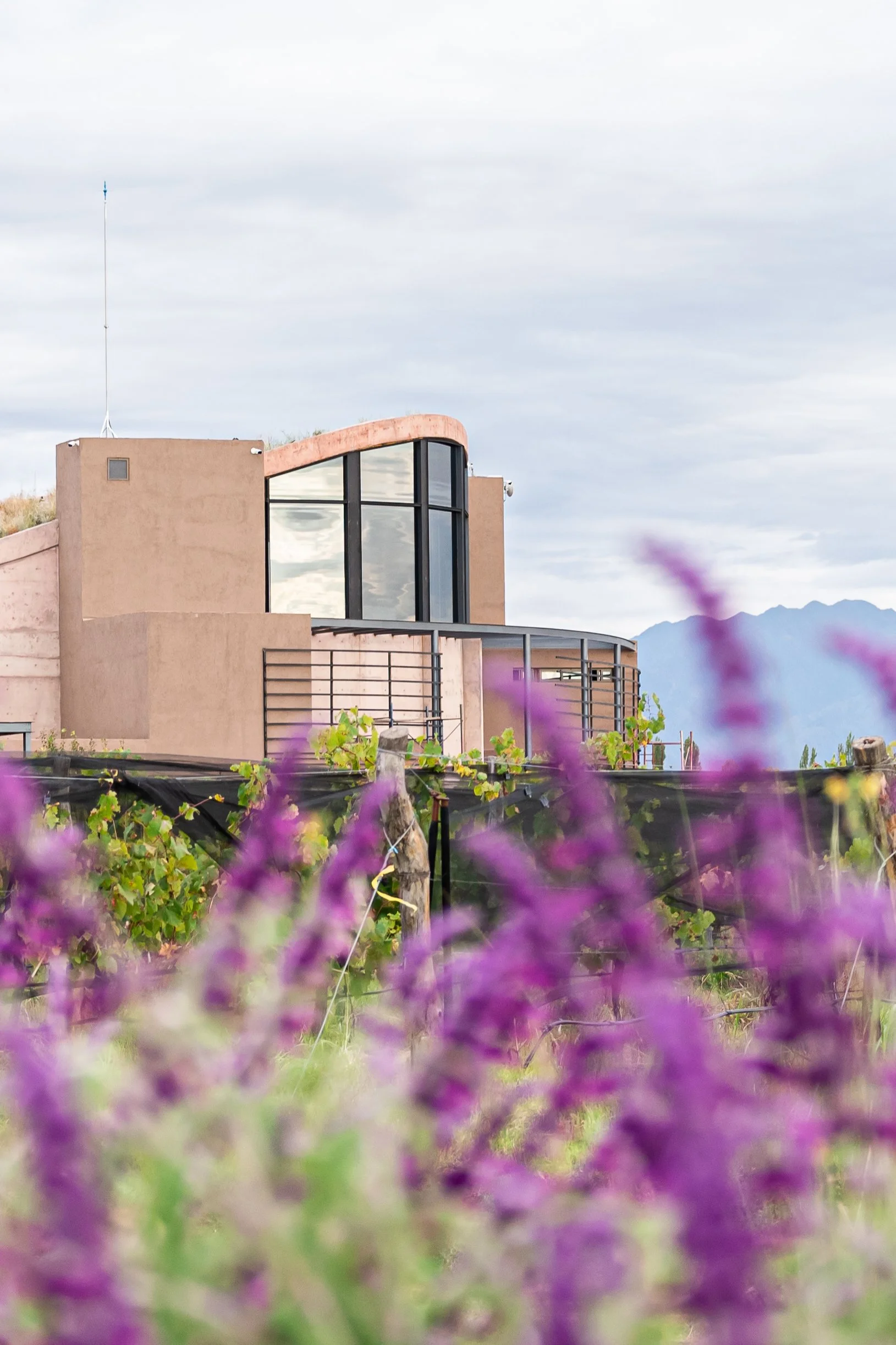 Alpamanta, la mejor del mundo en prácticas sustentables