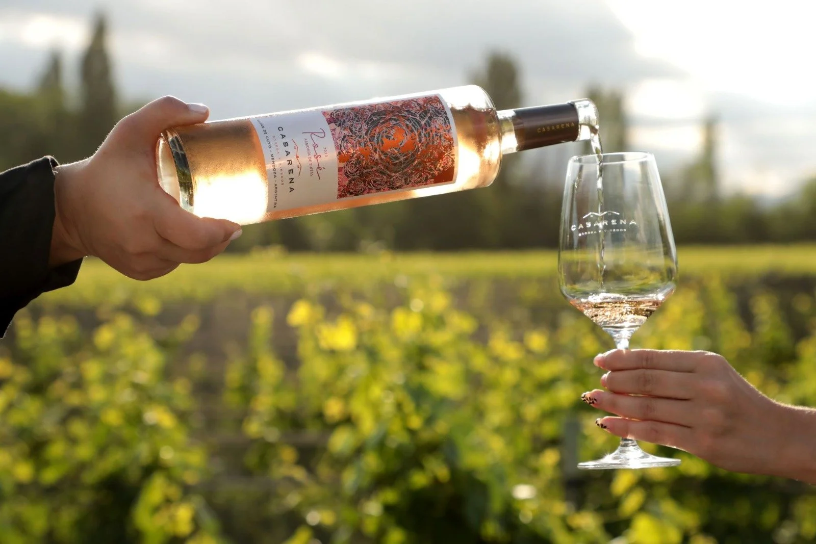 Rosé Armonía de Tintas, el nuevo blend de Casarena