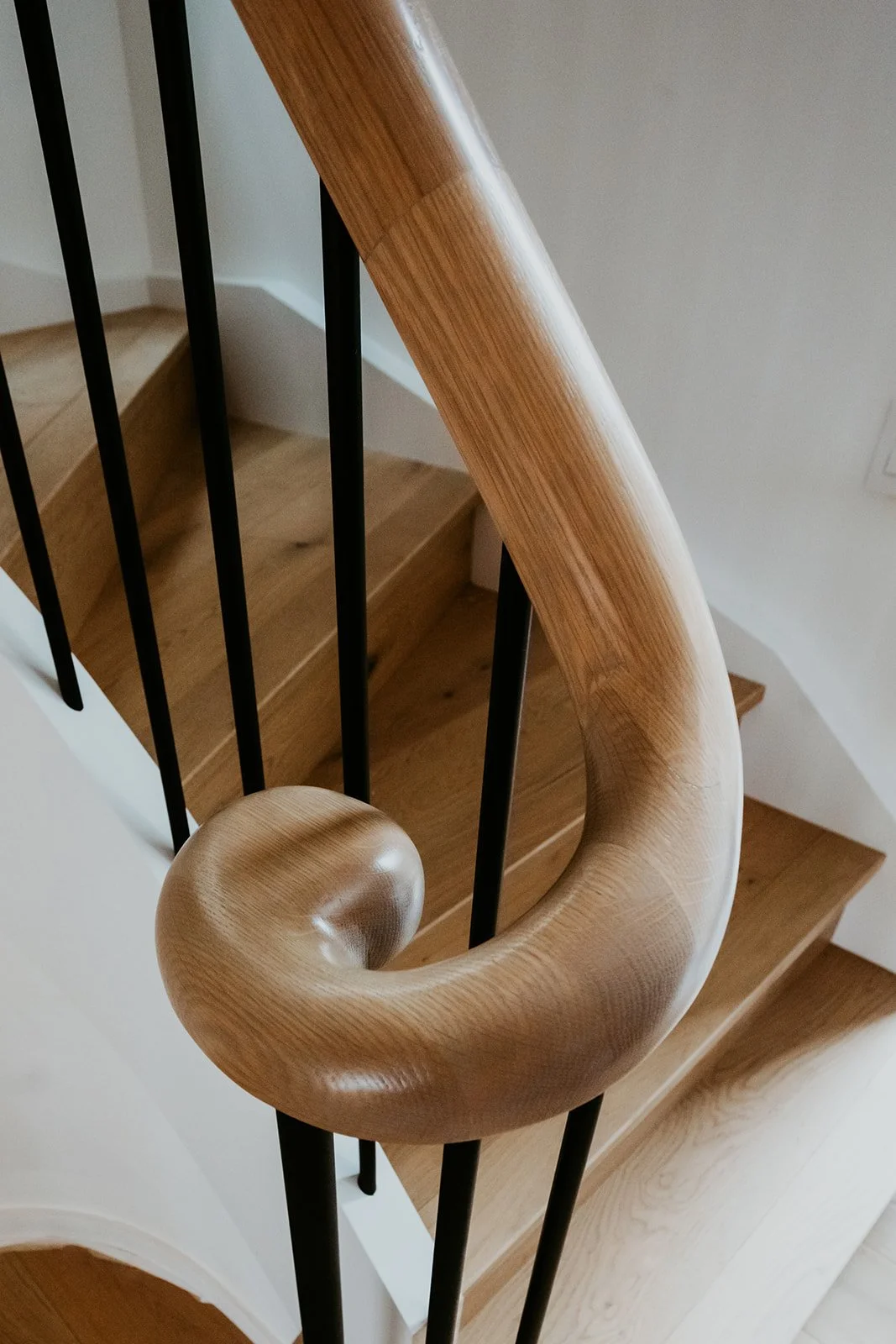 SAM 3817 Option 4 Rail.jpg