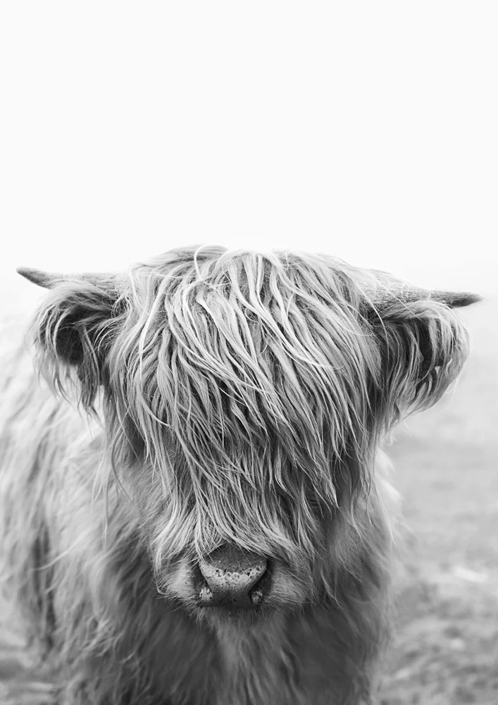 baby-coo-photographic-print.jpg