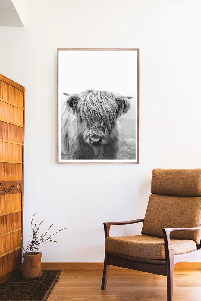 baby-coo-styled-lounge.jpg