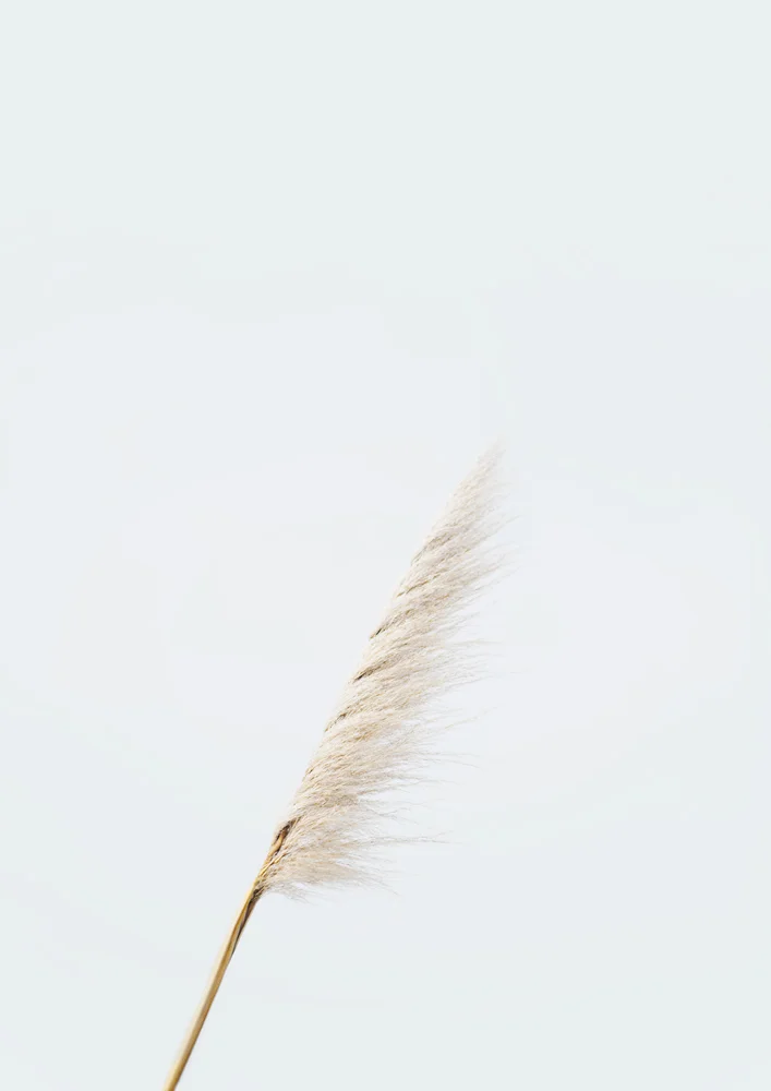 toi-toi-in-wind-photographic-print.jpg