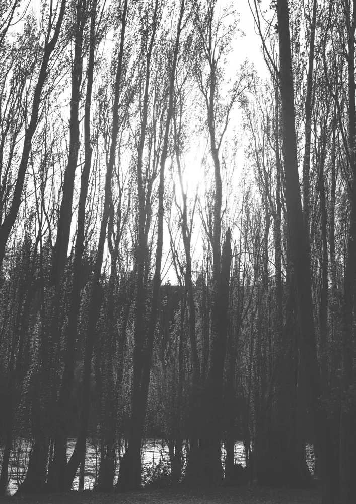 shade-river-photographic-print.jpg
