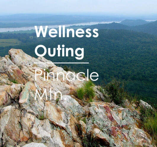 Wellness Outing