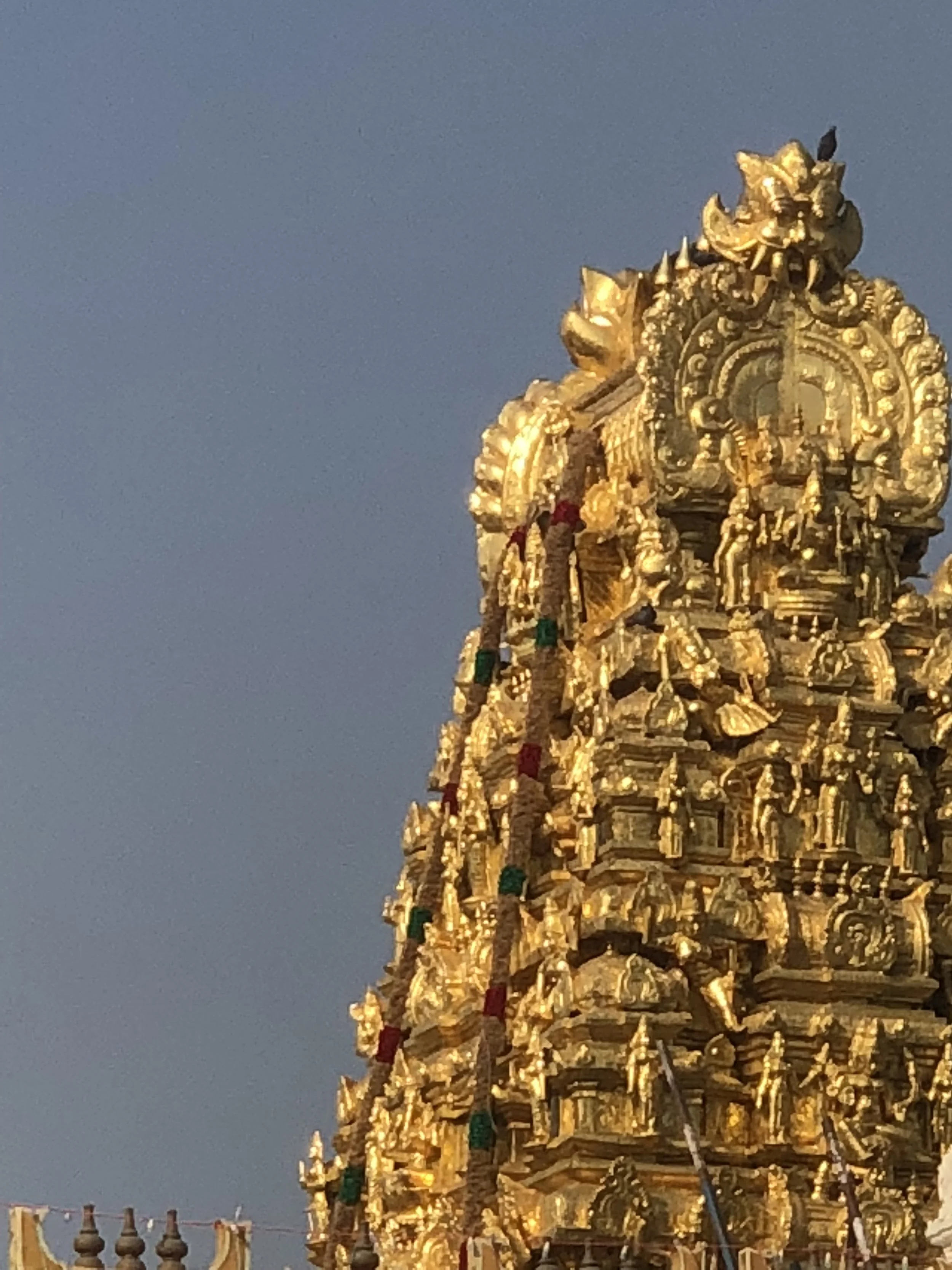 The Shikharam of the Kanchi Kamakshi Amman Temple