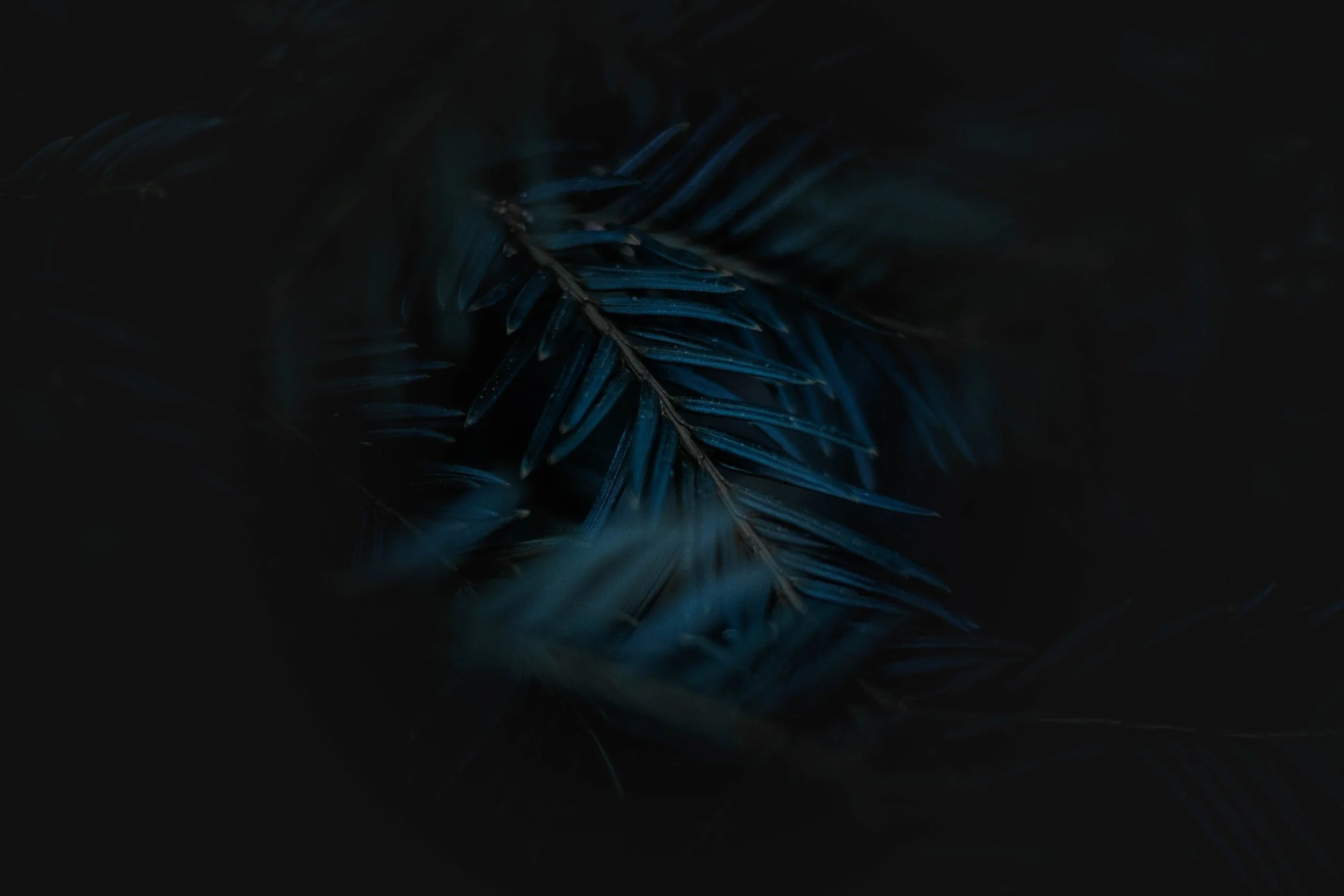 unsplash-image-nkUFXi0JSX8.jpg
