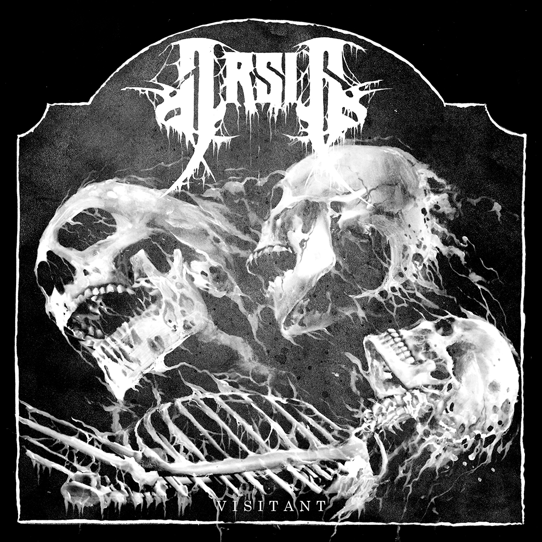 ARSIS_Vistant_Cover_1080.jpg