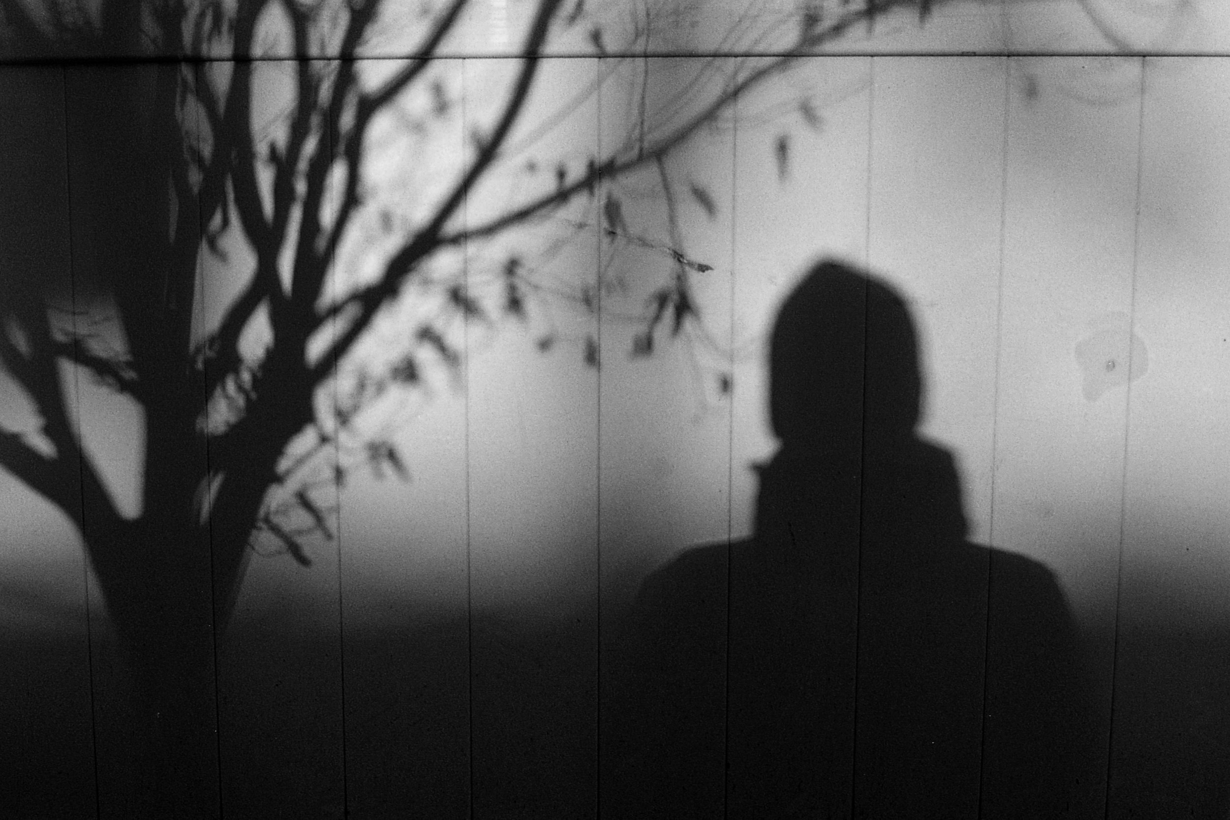 Shadow.jpg