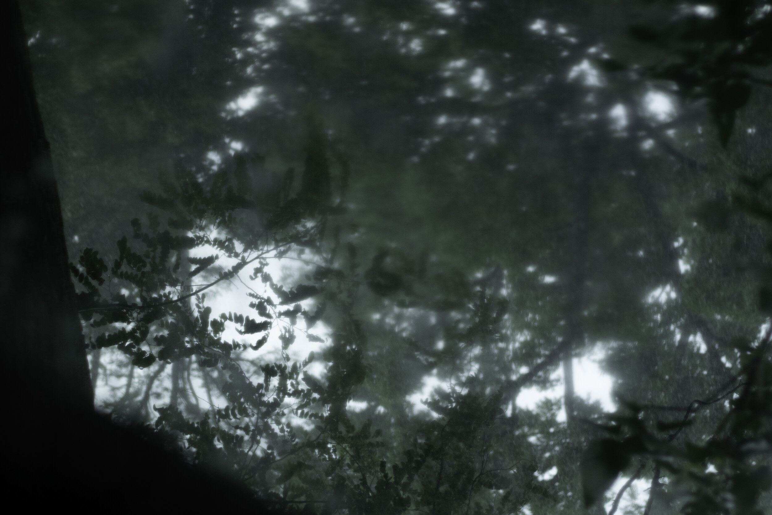 8498D7FF-B7DC-4DC0-BDF8-9F0C98EC31E9.jpeg