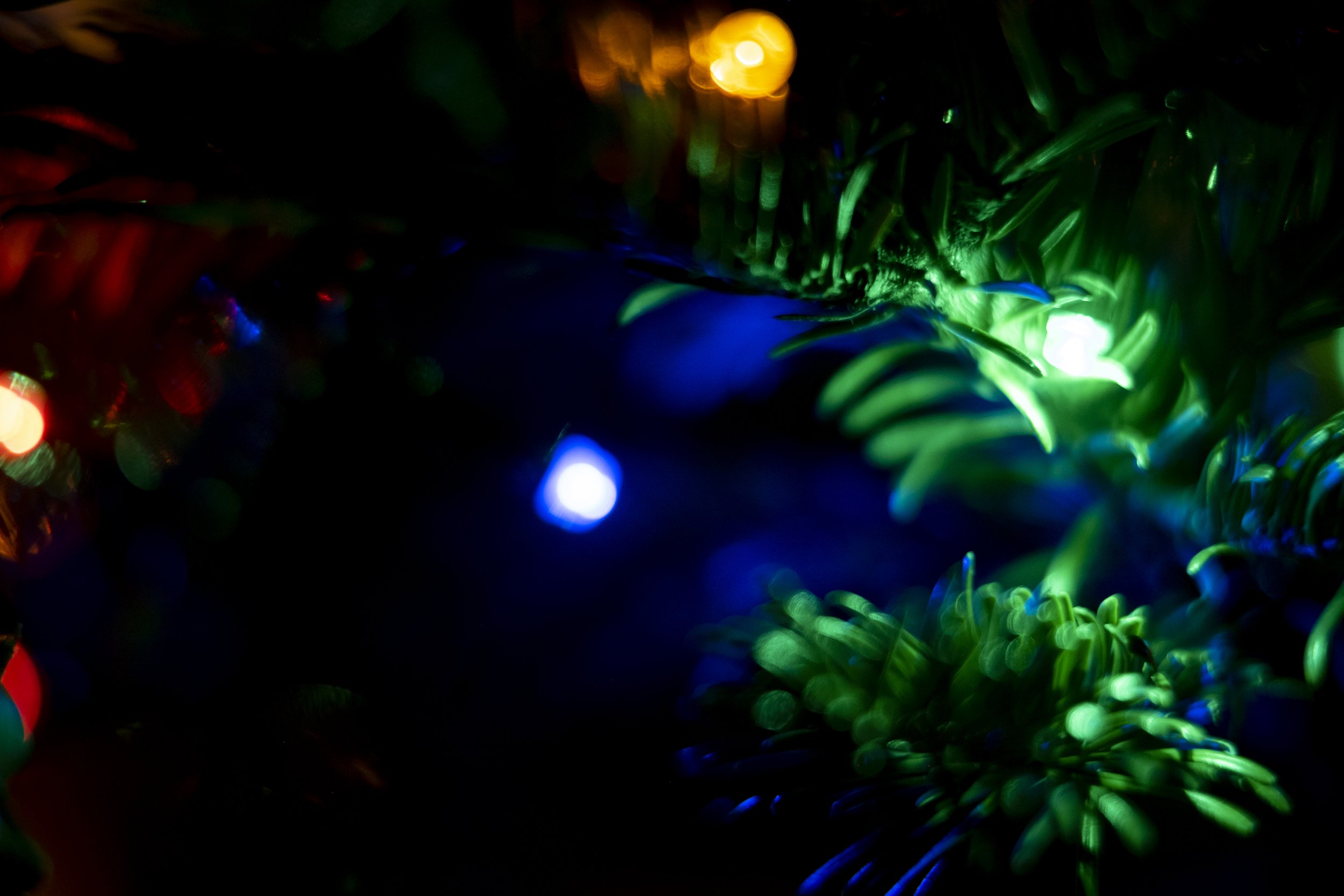 1775E74D-CE25-4083-9C82-167EC9EA895A.jpeg