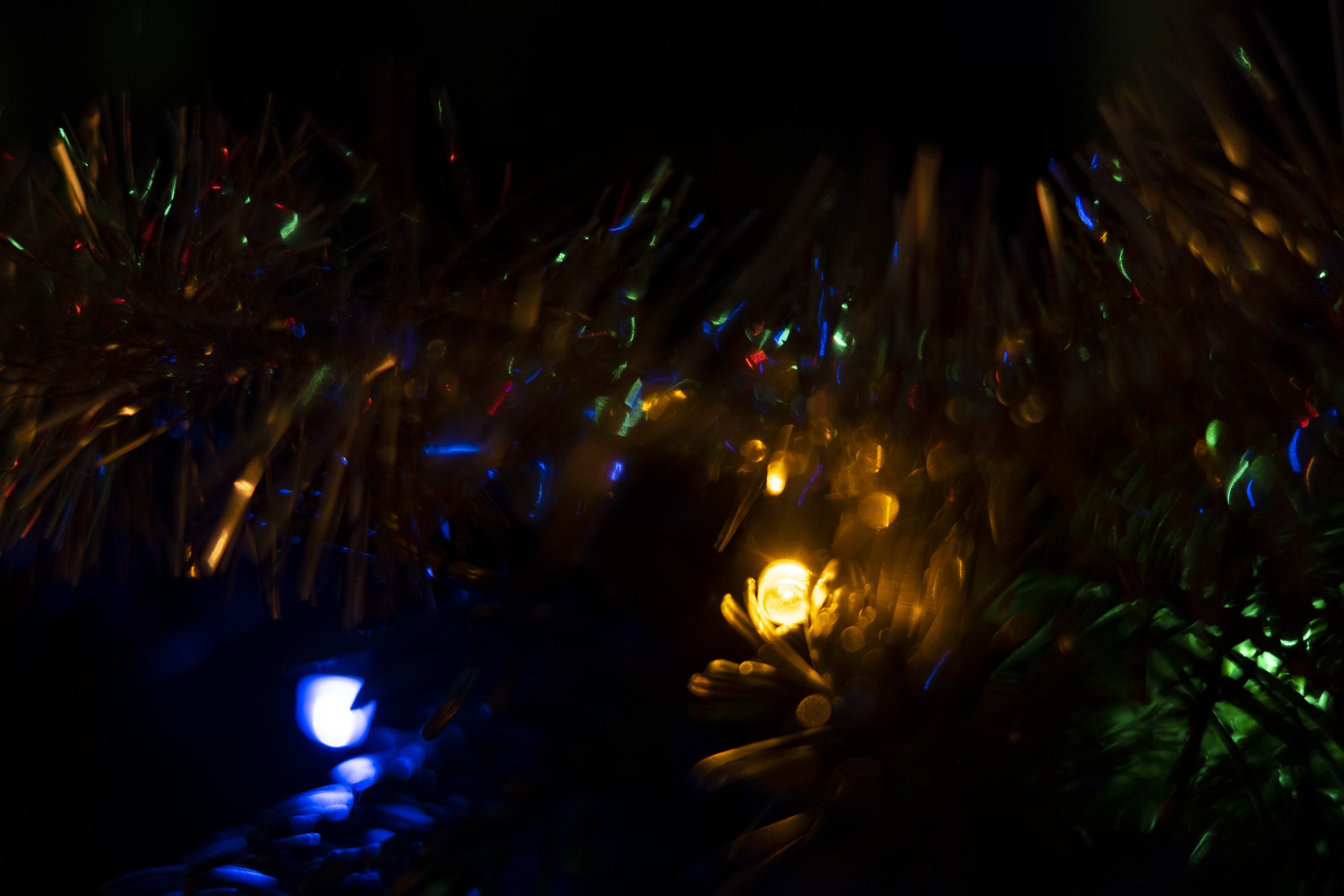 843BACE5-3666-408B-BC9C-41BD531787F8.jpeg
