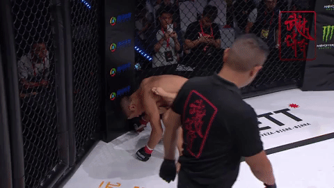 FinishMoment_5.gif